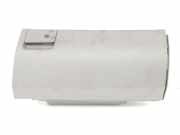 Handschuhfach A9066891808 Mercedes-Benz MERCEDES II JAMES COOK 2.1 CDI (150 CV) 2008