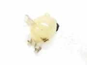 Ausgleichbehälter 9800777280 Peugeot 208 I (CA/CC/CK/CL) Schrägheck 1.2 Vti 12V PureTech (HMR) 2019