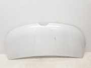 Motorhaube 651224338R Renault L1H1 29t Komfort