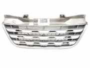 Grill 623105689R Renault Master III (MA/MB/MC/MD/MH/MF/MG/MH) Van 2.3 dCi 16V (M9T-B6) 2011