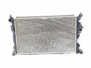 Radiator 214109709R Dacia Duster (DJF) SUV 1.6 Hybrid 140 16V (H4M-632(H4M-C6))