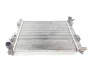 Radiator 214100078R Dacia Dokker (0S) Großraumlimousine 1.5 dCi 90 (K9K-C6)