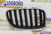 Grill Gitter Rechts 51137124816 BMW X5 (E53) SUV 3.0d 24V (M57N-D30(306D2)) 2006