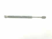 Gasdruckfedern Set Hinten 4F5827552B Audi A6 (C6) Limousine 3.0 TDI V6 24V Quattro (BMK) 2004