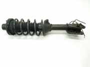 Stoßdämpfer Links Hinten RPM000030 Land + Range Rover Freelander Hard Top Geländewagen 2.0 td4 16V (204D3) 2002