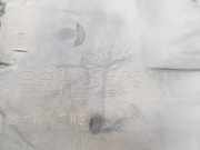 Bodenschutz VOOR 5816876010 Lexus CT 200h Schrägheck 1.8 16V (2ZRFXE) 2014