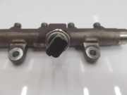 Einspritzdüsen Düsenstock 8200815617 Renault Scénic II (JM) Großraumlimousine 1.5 dCi 105 (K9K-732) 2008