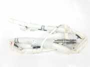 Vorhang Airbag Rechts VOOR 985P01528R Renault 1.5 dCi D FAP Energy (110 CV) 2018