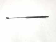 Gasdruckfeder Hinten A1699800764 Mercedes-Benz B (W245) Schrägheck 2.0 B-200 CDI 16V (OM640.941) 2006