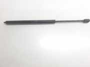 Gasdruckfedern Set Hinten A2517400345 Mercedes-Benz R (W251) Großraumlimousine 3.0 320 CDI 24V 4-Matic (OM642.950)