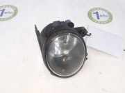 Nebelscheinwerfer Rechts 63176920885 BMW X5 (E53) SUV 3.0d 24V (M57N-D30(306D2)) 2005