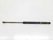 Gasdruckfeder Hinten 51247060622 BMW 1 serie (E87/87N) Schrägheck 5-drs 118d 16V (N47-D20A) 2007