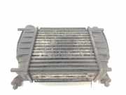 Ladeluftkühler 144619U20A Nissan NV 200 Evalia (M20M) Bus 1.5 dCi 86 (K9K-400(Euro 4)) 2010