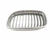 Grill 51137201969 BMW 3 serie (E90) Limousine 318d 16V (N47-D20C) 2010