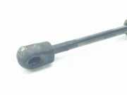 Gasdruckfedern Set Hinten 51241960862 BMW 3 serie (E36/4) Limousine 318 tds (M41-D17(174T1)) 1997