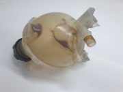 Ausgleichbehälter 9821049380 Peugeot Expert (V1/VA/VB/VE/VF/VT/VY) Van 1.6 Blue HDi 115 (DV6FC(BHX))