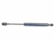 Gasdruckfeder Set Vorne 51233400352 BMW 2.0 16V D (150 CV) 2005