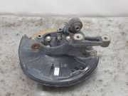 Achsschenkel Halter Rechts Hinten 52720S0000 Hyundai i30 (PDEB5/PDEBB/PDEBD/PDEBE) Schrägheck 2.0 N Turbo 16V Performance (G4KH)