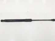 Gasdruckfeder Vorne 8W0823359B Audi AVANT 2.0 16V TDI (150 CV) 2018