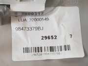 Innenbeleuchtung 98473379BJ Peugeot Expert (V1/VA/VB/VE/VF/VT/VY) Van 1.5 BlueHDi 100 (DV5RUCd(YHR))
