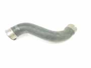 Turbo Leitung 144634JA0C Nissan NP 300 Navara (D23) Pick-up 2.3 dCi 16V (YS23DDT) 2020