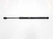 Gasdruckfeder Set Vorne 31479642 Volvo S90 II Limousine 2.0 D4 16V (D4204T14) 2019