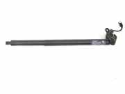 Gasdruckfedern Set Hinten 51247350837 BMW X1 (F48) SUV xDrive 18d 2.0 16V (B47-C20A(Euro 6)) 2017