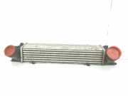 Ladeluftkühler 17517798788 BMW 1 serie (E87/87N) Schrägheck 5-drs 120d 16V (N47-D20C) 2010