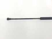 Gasdruckfeder Hinten 51243400379 BMW X3 (E83) SUV 3.0d 24V (M57N-D30(306D2)) 2006