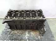 Motorblock 306D1 BMW SERIE 5 BERLINA E39 530d 1998