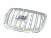Grill Gitter Links 7113733 BMW X5 (E53) SUV 3.0d 24V (M57N-D30(306D2)) 2005