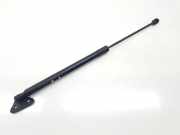 Gasdruckfedern Set Hinten 2990136 Nissan Navara (D40) Pick-up 2.5 dCi 16V 4x4 (YD25DDTi)