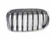 Grill 51137354823 BMW X1 (F48) SUV xDrive 18d 2.0 16V (B47-C20A(Euro 6)) 2017