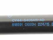 Gasdruckfeder Hinten CV44S406A11AD Ford 2.0 TDCi (120 CV) 2015