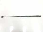 Gasdruckfeder Hinten BM51A406A10AD Ford Focus 3 Schrägheck 1.6 TDCi (T1DB(Euro 5)) 2011