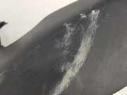 Armlehne MIDDEN KD4564961 Mazda CX-5 I (KE,GH) SUV 2.2 SkyActiv-D 16V 2WD (SH)