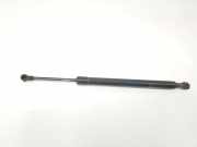 Gasdruckfedern Set Hinten 51247250308 BMW 3 serie (E90) Limousine 318d 16V (N47-D20A) 2007