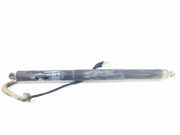 Gasdruckfedern Set Hinten 51247434041 BMW X5 (F15) SUV xDrive 40d 3.0 24V (N57-D30B) 2017