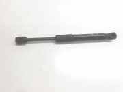 Gasdruckfeder Set Vorne 51237473453 BMW 1 serie (F40) Schrägheck 118d 2.0 16V (B47-C20B)