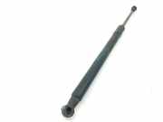 Gasdruckfedern Set Hinten 51247129194 BMW 3 serie (E92) Coup? 320d 16V (N47-D20A) 2007