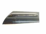 Zierleiste LINKS CN15N29149ADW Ford EcoSport (JK8) SUV 1.0 EcoBoost 12V 125 (M1JJ) 2015