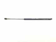 Gasdruckfedern Set Hinten 600442 Citroën C4 Picasso (UD/UE/UF) Großraumlimousine 1.8 16V (EW7A(6FY)) 2007