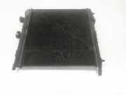 Radiator 1330W8 Citroën C3 (FC/FL/FT) Schrägheck 5-drs 1.4 (TU3JP(KFV)) 2007
