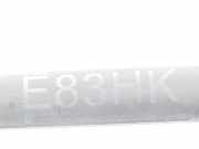 Gasdruckfedern Set Hinten 51243400379 BMW X3 (E83) SUV 3.0d 24V (M57N2-D30(306D3)) 2007