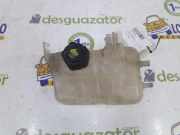 Ausgleichbehälter 217100005R Renault SCENIC III JZ Expression