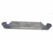 Ladeluftkühler 17517791231 BMW X5 (E53) SUV 3.0d 24V (M57N-D30(306D2)) 2005