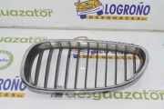 Grill Gitter Rechts 51137065701 BMW 5 serie (E60) Limousine 530d 24V (M57N-D30(306D2)) 2005