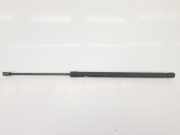 Gasdruckfeder Hinten 904506PA0A Nissan Juke (F16) SUV 1.0 DIG-T 117 12V (HR10DDT(H5D)) 2020