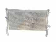 Radiator 1383317 Ford Transit Van 2.2 TDCi 16V (SRFA) 2010