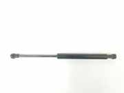 Gasdruckfeder Set Vorne 51237008745 BMW 5 serie Touring (E61) Kombi 530d 24V (M57N-D30(306D2)) 2005